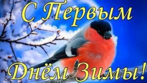 Снежное преображение! Первый день зимы. Музыкальная открытка с шикарной песней.