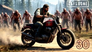 Days Gone. #30. Киноигра на русском с коммент. Хоррор, банды, выживач, фрики, байкеры, дружба, ужас