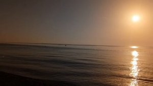 МОРЕ, СОЛНЦЕ и кошки