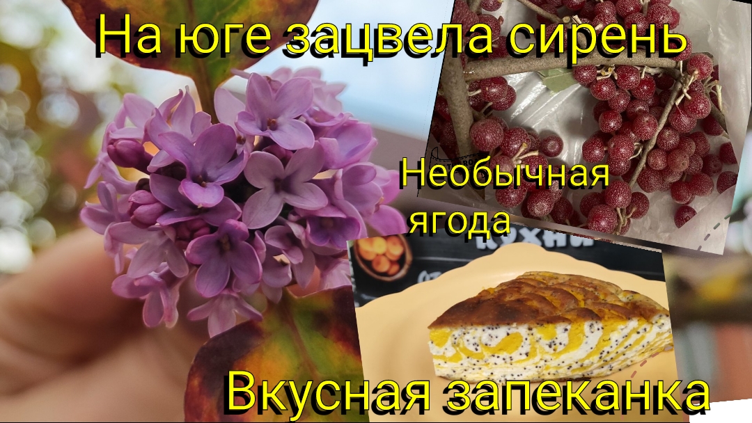 Влоги с ЮГА🌞 События за неделю👌Необычная ягода 🍇 День матери 🥰