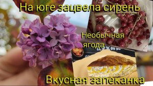 Влоги с ЮГА🌞 События за неделю👌Необычная ягода 🍇 День матери 🥰