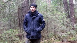 ТАЙГА КОРМИЛИЦА