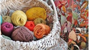 СП,,Вязальный переполох".ОСЕНЬ отчёт 6