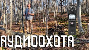 Аудио охота / Молчание леса / Пронзительный звук в тихом лесу