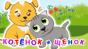 ЩЕНОК И КОТЕНОК. ДЕТСКИЙ МУЛЬТИК ПРО ЖИВОТНЫХ. МУЛЬТИК ПРО ЩЕНКА И КОТЕНКА ДЛЯ ДЕТЕЙ.