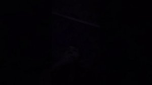 розговориваю́ с подпищиками