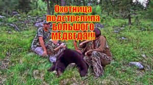 Охотница подстрелила БОЛЬШОГО МЕДВЕДЯ!!! ВЕСЕННЯЯ ОХОТА НА МЕДВЕДЯ