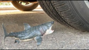 Машина давит предметы колесом! Эксперименты! Давим акулу 🚗🦈 Залипалка ASMR
