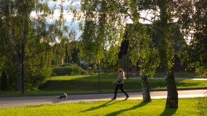 Петровское Парк - моменты 2025 года