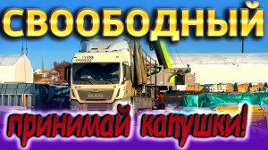 Теперь их завалили катушками))) $1647