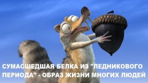 Сумасшедшая белка из "Ледникового периода" - образ жизни многих людей. Священник Валерий Сосковец