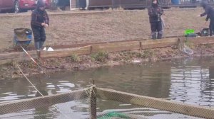 video5287388574289791217