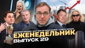 Эффект Долиной, резкий рост просрочек по ипотеке и старт продаж новых проектов
