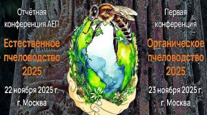 23.11.2025_Беньямин Форстер_2 "Про лечение в Органическом Пчеловодстве"