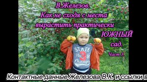 В.Железов. Как не сходя с места вырастить практически ЮЖНЫЙ сад. Часть 3.