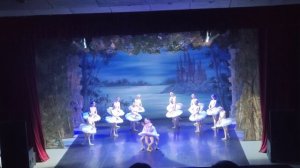 Сегодня я был на Балете Лебединое озеро