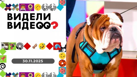 Видели видео? Выпуск от 30.11.2025
