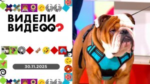 Видели видео? Выпуск от 30.11.2025