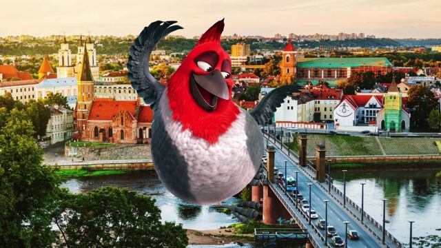 Pedro - UEFA Futsal EURO 26