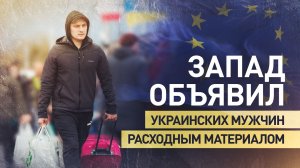 Бегство от безысходности: как Киев и Запад загоняют украинцев в мясорубку