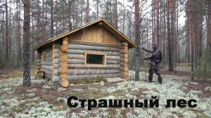 Изба охотника Нашёл место для избы Очень странный лес