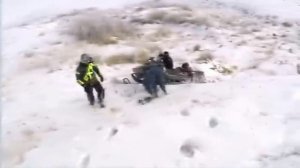 Охота на волков.