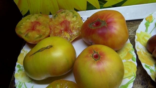 Мой ЛЮБИМЧИК среди Томатных Гномов - Розелла би-колор. №900-26. Кому она понравится