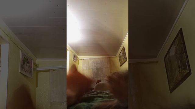 9 часть-серия с лютиком было у нас сражение против игрушки духа внутри. победа. смотреть онлайн