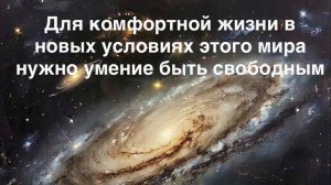Свободная жизнь в новых условиях этого мира.