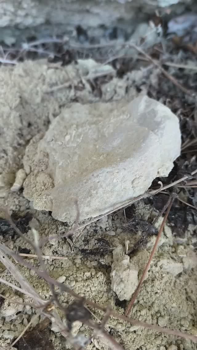 Бельбек Натюрморт 01