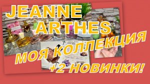 ВСЯ КОЛЛЕКЦИЯ JEANNE ARTHES  И ДВЕ НОВИНКИ (СНЯТОСТИ)