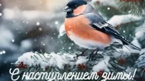 Зимний приветик! С 1 декабря. Великолепная музыкальная открытка.