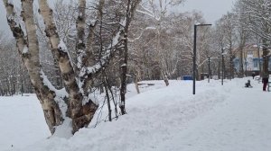 Еще только Ноябрь,а зима рулит по полной❄️❄️❄️🌨🌨🌨
