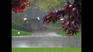 Сиеминутное