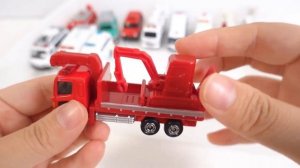 Эти Игрушки Машинки Рвутся с Полок! Узнайте, Почему!