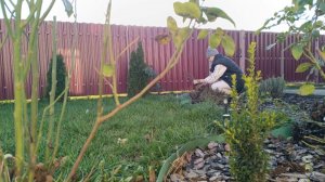 КАЖДЫЙ ОШИБАЕТСЯ, СТЫДНО ПРИЗНАТЬСЯ/РЕМОНТ ТРЕПЛЕТ НЕРВЫ/