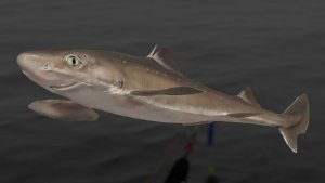 Русская Рыбалка 4!!!