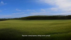 Дүрт кагыйдә - Әлфис әбү Мөхәммәд