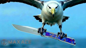 Maxace Albatros - Самый большой нож на SlipJoint