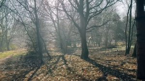 С Днём матери девочки! #мамаотличника #сднемматери