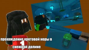 прохождение кротовой норы в снежной долине 
супер Беар адвенчер