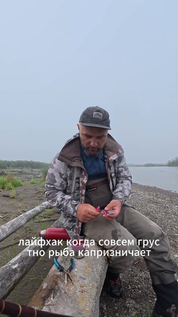 Тасманский дьявол: лучшая приманка на кету и горбушу.