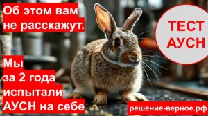 Как не платить НДС в 2026 году? АУСН для микро бизнеса с 5 сотрудниками и выручкой 60 миллионов