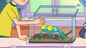 Разговоры о важном. Домашние питомцы. Фрагмент мультфильма «Новое Простоквашино»