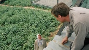 Lyubov.I.Golubi.1984г.