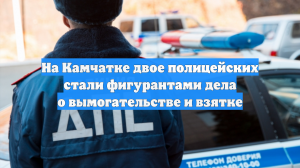 На Камчатке двое полицейских стали фигурантами дела о вымогательстве и взятке