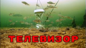 ТЕЛЕВИЗОР для Хищника! Щука, окунь, рак! Подводная съемка