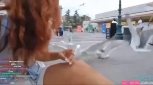 Чайки отобрали обед у стримерши #shorts