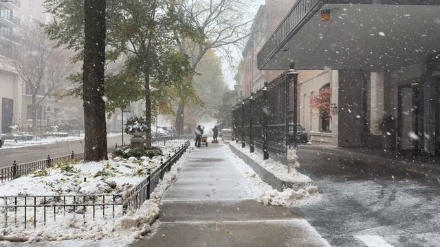 США. Прогулка в снегопад по Чикаго в формате 4К смотреть онлайн