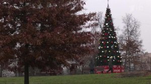 Синоптики прогнозируют теплое начало декабря в Москве.